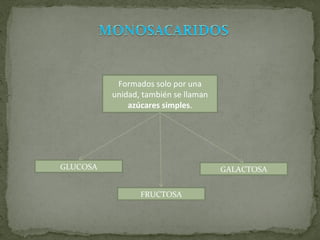 Formados solo por una unidad, también se llaman  azúcares simples . GALACTOSA FRUCTOSA GLUCOSA 