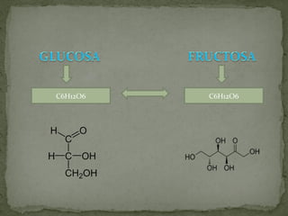 C6H12O6 C6H12O6 