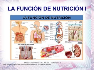 LA FUNCIÓN DE NUTRICIÓN I PRESENTACION REALIZADA POR 6º B  CURSO 2011-12 CEIP MAESTRO ANTONIO RODRÍGUEZ de SAN JOSÉ DE LA RINCONADA 