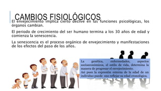 CAMBIOS FISIOLÓGICOSEl envejecimiento implica cierto declive en las funciones psicológicas, los
órganos cambian.
El periodo de crecimiento del ser humano termina a los 30 años de edad y
comienza la senescencia.
La senescencia es el proceso orgánico de envejecimiento y manifestaciones
de los efectos del paso de los años.
La genética, enfermedades, aspectos
socioeconómicos, el estilo de vida, determina la
manera de progresar el envejecimiento.
Asi pues la expresión externa de la edad de un
individuo puede ono reflejar su edad cronológica.
 