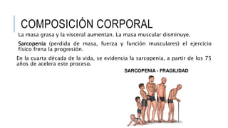 COMPOSICIÓN CORPORAL
La masa grasa y la visceral aumentan. La masa muscular disminuye.
Sarcopenia (perdida de masa, fuerza y función musculares) el ejercicio
físico frena la progresión.
En la cuarta década de la vida, se evidencia la sarcopenia, a partir de los 75
años de acelera este proceso.
 