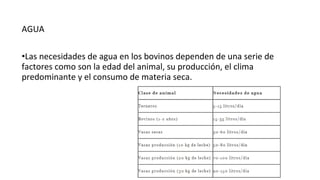 AGUA
•Las necesidades de agua en los bovinos dependen de una serie de
factores como son la edad del animal, su producción, el clima
predominante y el consumo de materia seca.
 