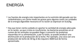 ENERGÍA
• Las fuentes de energía más importantes en la nutrición del ganado son los
carbohidratos y en cierto modo las grasas para algunos casos.Las unidades
de la energía digestible necesaria en la ración se expresan en kcal/kg.
• Hay que tener cierto cuidado en aportar la cantidad de energía adecuada
en la ración, ya que si ésta es insuficiente, las bacterias presentes en el
rumen de los animales no pueden llegar a convertir las proteínas
requeridas en su alimentación, y por lo tanto, se puede producir una
disminución en la producción de la leche. Por ejemplo, una vaca con una
producción de leche de 30 kg al día requiere 3600 kcal de forma
aproximada.
 