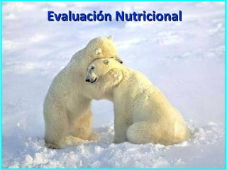 Estado Nutricional Normal
• Es el correcto funcionamiento y composición del
  cuerpo, conseguido por una adecuada alimenta...