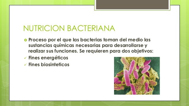 Nutricion bacteriana