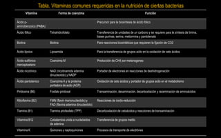 Tabla. Vitaminas comunes requeridas en la nutrición de ciertas bacterias
          Vitamina               Forma de coenzima                                                     Función

Ácido p-                                                       Precursor para la biosíntesis de ácido fólico
aminobenzoico (PABA)
Ácido fólico              Tetrahidrofolato                     Transferencia de unidades de un carbono y se requiere para la síntesis de timina,
                                                               bases purinas, serina, metionnina y pantotenato
Biotina                   Biotina                              Para reacciones biosintéticas que requieren la fijación de CO2

Ácido lipoico             Lipoamida                            Para la transferencia de grupos acilo en la oxidación de ceto ácidos

Ácido sulfónico           Coenzima M                           Producción de CH4 por metanogenes
mercaptoetano
Ácido nicotínico          NAD (nicotinamida adenina            Portador de electrones en reacciones de deshidrogenación
                          dinucleotido) y NADP
Ácido pantotenico         Coenzima A y la proteína             Oxidación de ceto ácidos y portador de grupos acilo en el metabolismo
                          portadora de acilo (ACP)
Piridoxina (B6)           Fosfato piridoxal                    Transaminación, desaminación, decarboxilación y raceminación de aminoácidos

Riboflavina (B2)          FMN (flavin mononucleotido) y        Reacciones de óxido-reducción
                          FAD (flavina adenina dinucleotido)
Tiamina (B1)              Tiamina priofsofato (TPP)            Decarboxilación de cetoácidos y reacciones de transaminación

Vitamina B12              Cobalamina unida a nucleósidos       Transferencia de grupos metilo
                          de adenina
Vitamina K                Quinones y naptoquinones             Procesos de transporte de electrónes
 
