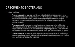CRECIMIENTO BACTERIANO
•   Sigue tres fases
     •   Fase de adaptación o fase lag: cuando una población bacteriana se encuentra en un
         nuevo ambiente con elevada concentración de nutrientes que le permiten crecer. En esta
         fase el crecimiento es muy lento, las células se preparan para comenzar un rápido
         crecimiento. Existe una elevada tasa de biosíntesis de proteínas necesarias para el
         crecimiento rápido.
     •   Fase exponencial: se caracteriza por el crecimiento exponencial de las células. La
         velocidad de crecimiento durante esta fase se conoce como la tasa de crecimiento k y el
         tiempo que tarda cada célula en dividirse como el tiempo de generación g. Los nutrientes
         son metabolizados a la máxima velocidad posible, hasta que dichos nutrientes se agoten.
     •   Fase estacionaria: se produce como consecuencia del agotamiento de los nutrientes en
         el medio, las células reducen drásticamente su actividad metabólica y comienzan a utilizar
         como fuente energética aquellas proteínas
 