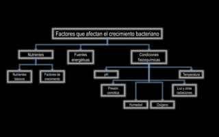Factores que afectan el crecimiento bacteriano


             Nutrientes                  Fuentes                        Condiciones
                                        energéticas                   fisicoquímicas


Nutrientes                Factores de                 pH                                       Temperatura
 básicos                  crecimiento

                                                        Presión                            Luz y otras
                                                       osmótica                            radiaciones


                                                                  Humedad        Oxígeno
 