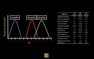 pH        pH        pH
                                                                                           Organismo
                                                                                                               mínimo    óptimo    máximo
                                                                                   Thiobacillus thiooxidans     0.5      2.0-2.8   4.0-6.0
                           Acidófilo           Neutrófilo Alcalófilo
Rango de crecimiento




                                                                                   Sulfolobus acidocaldarius    1.0      2.0-3.0    5.0
                                                                                   Bacillus acidocaldarius      2.0       4.0       6.0
                                                                                   Zymomonas lindneri           3.5      5.5-6.0    7.5
                                                                                   Lactobacillus acidophilus   4.0-4.6   5.8-6.6    6.8
                                                                                   Staphylococcus aureus        4.2      7.0-7.5    9.3
                                                                                   Escherichia coli             4.4      6.0-7.0    9.0
                                                                                   Clostridium sporogenes      5.0-5.8   6.0-7.6   8.5-9.0
                                                                                   Erwinia caratovora           5.6       7.1       9.3
                                                                                   Pseudomonas aeruginosa       5.6      6.6-7.0    8.0
                                                                                   Thiobacillus novellus        5.7       7.0       9.0
                       1   2   3       4   5   6        7   8   9   10   11   12
                                                                                   Streptococcus pneumoniae     6.5       7.8       8.3
                                                   pH                              Nitrobacter sp               6.6      7.6-8.6    10.0
 