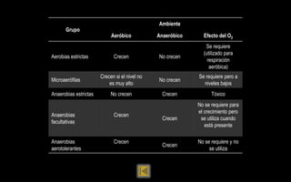 Ambiente
       Grupo
                            Aeróbico           Anaeróbico     Efecto del O2
                                                               Se requiere
                                                              (utilizado para
Aerobias estrictas           Crecen            No crecen
                                                                respiración
                                                                 aeróbica)
                       Crecen si el nivel no                Se requiere pero a
Microaerófilas                                 No crecen
                           es muy alto                        niveles bajos
Anaerobias estrictas        No crecen            Crecen           Tóxico
                                                            No se requiere para
                                                            el crecimiento pero
Anaerobias                   Crecen
                                                 Crecen      se utiliza cuando
facultativas
                                                               está presente

Anaerobias                   Crecen                         No se requiere y no
                                                 Crecen
aerotolerantes                                                   se utiliza
 