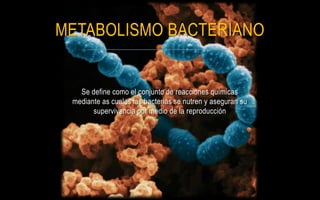 METABOLISMO BACTERIANO


   Se define como el conjunto de reacciones químicas
 mediante as cuales las bacterias se nutren y aseguran su
       supervivencia por medio de la reproducción
 