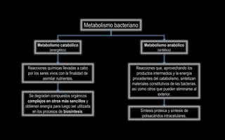 Metabolismo bacteriano


       Metabolismo catabólico                                   Metabolismo anabólico
               (energético)                                              (sintético)



 Reacciones químicas llevadas a cabo                       Reacciones que, aprovechando los
 por los seres vivos con la finalidad de                   productos intermedios y la energía
           asimilar nutrientes.                         procedentes del catabolismo, sintetizan
                                                        materiales constitutivos de las bacterias,
                                                        así como otros que pueden eliminarse al
  Se degradan compuestos orgánicos                                      exterior.
 complejos en otros más sencillos y
obtienen energía para luego ser utilizada
     en los procesos de biosíntesis.                          Síntesis proteica y síntesis de
                                                               polisacáridos intracelulares.
 