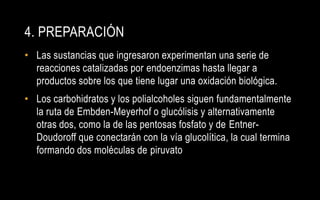 4. PREPARACIÓN
• Las sustancias que ingresaron experimentan una serie de
  reacciones catalizadas por endoenzimas hasta llegar a
  productos sobre los que tiene lugar una oxidación biológica.
• Los carbohidratos y los polialcoholes siguen fundamentalmente
  la ruta de Embden-Meyerhof o glucólisis y alternativamente
  otras dos, como la de las pentosas fosfato y de Entner-
  Doudoroff que conectarán con la vía glucolítica, la cual termina
  formando dos moléculas de piruvato
 