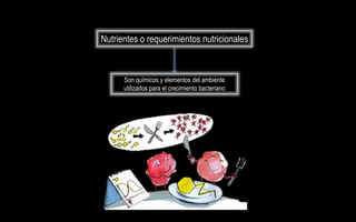 Nutrientes o requerimientos nutricionales



      Son químicos y elementos del ambiente
      utilizados para el crecimiento bacteriano
 