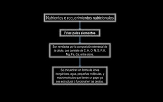 Nutrientes o requerimientos nutricionales


             Principales elementos


   Son revelados por la composición elemental de
    la célula, que consiste de C, H, O, N, S, P, K,
                Mg, Fe, Ca, entre otros.



         Se encuentran en forma de iones
     inorgánicos, agua, pequeñas moléculas, y
       macromoléculas que tienen un papel ya
      sea estructural o funcional en las células.
 