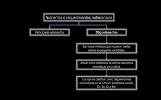 Nutrientes o requerimientos nutricionales


Principales elementos                   Oligoelementos


                             Son iones metálicos que requieren ciertas
                                 células en pequeñas cantidades.



                            Actúan como cofactores de ciertas reacciones
                                     enzimáticas de la célula.



                             Los que se clasifican como oligoelementos
                           comúnmente en la nutrición bacteriana son Mn,
                                         Co, Zn, Cu y Mo.
 