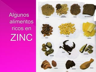     Algunos alimentos ricos en CALCIO