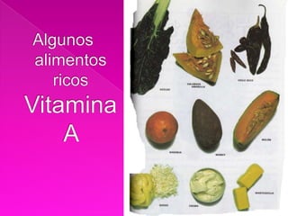 PIRAMIDE NUTRICIONAL 
