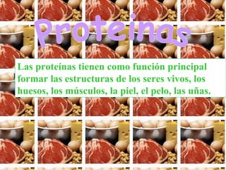 Proteinas h Las proteínas tienen como función principal formar las estructuras de los seres vivos, los huesos, los músculos, la piel, el pelo, las uñas.   