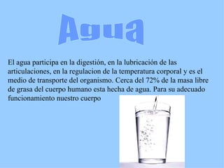 Agua El agua participa en la digestión, en la lubricación de las articulaciones, en la regulacion de la temperatura corporal y es el medio de transporte del organismo. Cerca del 72% de la masa libre de grasa del cuerpo humano esta hecha de agua. Para su adecuado funcionamiento nuestro cuerpo  