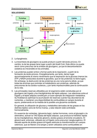 Bioquímica de los seres vivos
Esperanza Blanco Segundo curso Bachillerato LOGSE
SOLUCIONES
1.
2. La lipogénesis.
3. La biosíntesis de glucógeno se puede producir a partir del ácido pirúvico. En
cambio, la de las grasas tiene lugar a partir del Acetil CoA. Este último no puede
servir como precursor de la síntesis de glucógeno, ya que la descarboxilación
oxidativa es irreversible en los animales.
4. Las proteínas pueden entrar a formar parte de la respiración, a partir de la
formación de ácido pirúvico. Energéticamente, por tanto, darían lugar
aproximadamente al mismo rendimiento que la respiración de la glucosa (menos los
ATP y NADH producidos durante la glucolisis, que en las proteínas no tiene lugar).
Sin embargo, la destrucción de las proteínas es una ruina para la célula, ya que
todas las enzimas que controlan el metabolismo son proteínas, además de
precursoras de los ácidos nucleicos, y por tanto imprescincibles para la continuación
de la vida.
5. Las principales reservas utilizables por el organismo están constiuidas por el
glucógeno del hígado y los triacilglicéridos del tejido adiposo. Las relaciones entre el
hígado y el tejido adiposo constituyen un buen ejemplo de integración metabólica.
Su finalidad es optimizar la acumulación de reservas cuando hay abundancia de
nutrientes, y mantener una disponibilidad de combustibles en sangre durante el
ayuno, preservando en la medida de lo posible una glucemia constante.
En general, la utilización de glucosa y metabolitos derivados de las grasas en los
distintos tejidos varía de forma inversa, y esta relación está controlada
hormonalmente.
En ausencia de nutrientes, (glucemia baja), ciertas hormonas, como el glucagón o la
adrenalina, activan la TAG lipasa del tejido adiposo, que produce la hidrólisis rápida
de los triacilglicéricos, liberando glicerol y ácidos grasos al torrente circulatorio. El
glicerol será, entonces, utilizado por el hígado como precursor neoglucogénico. El
elevado aporte de ácidos grasos al hígado estimula su transformación en cuerpos
cetónicos, que se liberan a la sangre y serán utilizados como combustibles en
PolisacáridosProteínas Lípidos
MonosacáridosAminoácidos Ácidos grasos
y glicerina
Ácido pirúvico
Acetil CoA
Restos
cetoácidos
glucogenogénesisglucogenolisis
neoglucogénesis
lipogénesislipolisis
Beta-oxidación
proteolisis traducción
transaminación
Descarboxilación
oxidativa
 