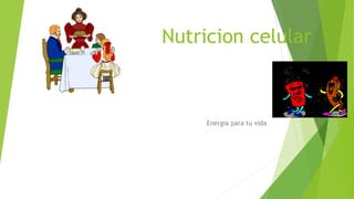 Nutricion celular
Energía para tu vida
 