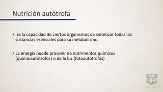 Nutrición autótrofa
• Es la capacidad de ciertos organismos de sintetizar todas las
sustancias esenciales para su metabolismo.
• La energía puede provenir de nutrimentos químicos
(quimioautótrofos) o de la luz (fotoautótrofos)
 