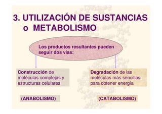 3. UTILIZACIÓN DE SUSTANCIAS
o METABOLISMO
Los productos resultantes pueden
seguir dos vías:
Construcción de
moléculas complejas y
estructuras celulares
Degradación de las
moléculas más sencillas
para obtener energía
(ANABOLISMO) (CATABOLISMO)
 