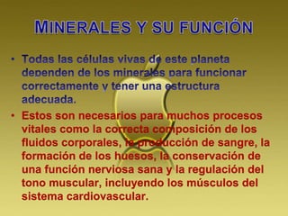 • Estos son necesarios para muchos procesos
vitales como la correcta composición de los
fluidos corporales, la producción de sangre, la
formación de los huesos, la conservación de
una función nerviosa sana y la regulación del
tono muscular, incluyendo los músculos del
sistema cardiovascular.
 
