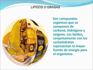 Son compuestos
orgánicos que se
componen de
carbono, hidrógeno y
oxígeno. Los lípidos,
conjuntamente con los
carbohidratos
representan la mayor
fuente de energía para
el organismo.
LIPIDOS O GRASAS
 
