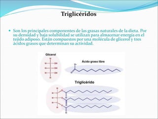 Triglicéridos
 Son los principales componentes de las grasas naturales de la dieta. Por
su densidad y baja solubilidad se utilizan para almacenar energía en el
tejido adiposo. Están compuestos por una molécula de glicerol y tres
ácidos grasos que determinan su actividad.
 
