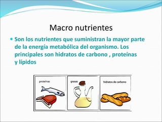 Macro nutrientes
 Son los nutrientes que suministran la mayor parte
de la energía metabólica del organismo. Los
principales son hidratos de carbono , proteínas
y lípidos
 
