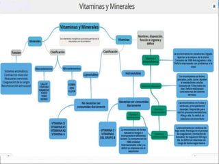 Nutricion clase macro y micronutrientes