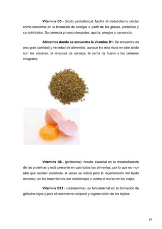 65
Vitamina B5 - (ácido pantoténico): facilita el metabolismo celular
como coenzima en la liberación de energía a partir de las grasas, proteínas y
carbohidratos. Su carencia provoca despistes, apatía, alergias y cansancio.
Alimentos donde se encuentra la vitamina B1: Se encuentra en
una gran cantidad y variedad de alimentos, aunque los más ricos en este ácido
son las vísceras, la levadura de cerveza, la yema de huevo y los cereales
integrales.
Vitamina B6 - (piridoxina): resulta esencial en la metabolización
de las proteínas y está presente en casi todos los alimentos, por lo que es muy
raro que existan carencias. A veces se indica para la regeneración del tejido
nervioso, en los tratamientos con radioterapia y contra el mareo en los viajes.
Vitamina B12 - (cobalamina): es fundamental en la formación de
glóbulos rojos y para el crecimiento corporal y regeneración de los tejidos.
 
