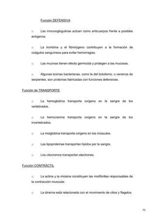 72
Función DEFENSIVA
o Las inmunoglogulinas actúan como anticuerpos frente a posibles
antígenos.
o La trombina y el fibrinógeno contribuyen a la formación de
coágulos sanguíneos para evitar hemorragias.
o Las mucinas tienen efecto germicida y protegen a las mucosas.
o Algunas toxinas bacterianas, como la del botulismo, o venenos de
serpientes, son proteínas fabricadas con funciones defensivas.
Función de TRANSPORTE
o La hemoglobina transporta oxígeno en la sangre de los
vertebrados.
o La hemocianina transporta oxígeno en la sangre de los
invertebrados.
o La mioglobina transporta oxígeno en los músculos.
o Las lipoproteínas transportan lípidos por la sangre.
o Los citocromos transportan electrones.
Función CONTRÁCTIL
o La actina y la miosina constituyen las miofibrillas responsables de
la contracción muscular.
o La dineína está relacionada con el movimiento de cilios y flagelos.
 