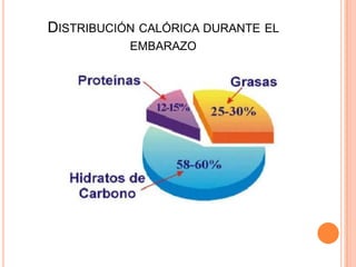 Distribución calórica durante el embarazo