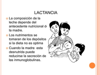 LACTANCIALa composición de la leche depende del antecedente nutricional de la madre.Los nutrimentos se tomaran de los depósitos si la dieta no es optimaCuando la madre  esta desnutrida puede reducirse la secreción de las inmunoglobulinas.