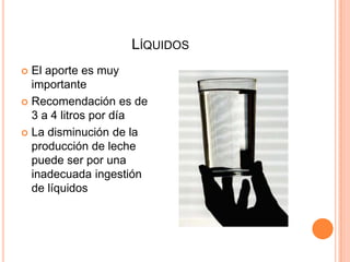 LíquidosEl aporte es muy importanteRecomendación es de 3 a 4 litros por díaLa disminución de la producción de leche puede ser por una inadecuada ingestión de líquidos  