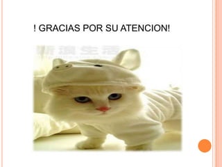 ! GRACIAS POR SU ATENCION!
