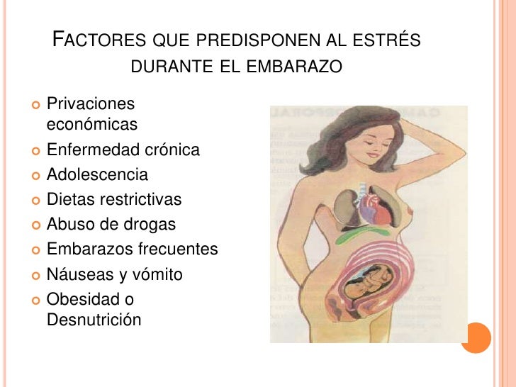 Nutricion En El Embarazo