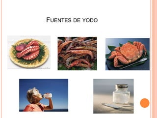 Fuentes de yodo