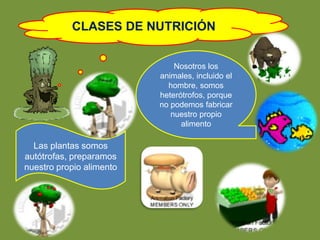 CLASES DE NUTRICIÓN 
Las plantas somos 
autótrofas, preparamos 
nuestro propio alimento 
Nosotros los 
animales, incluido el 
hombre, somos 
heterótrofos, porque 
no podemos fabricar 
nuestro propio 
alimento 
 