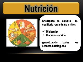 Nutriente
Es un producto químico
procedente del exterior de
la célula y que ésta
necesita para realizar sus
funciones vita...