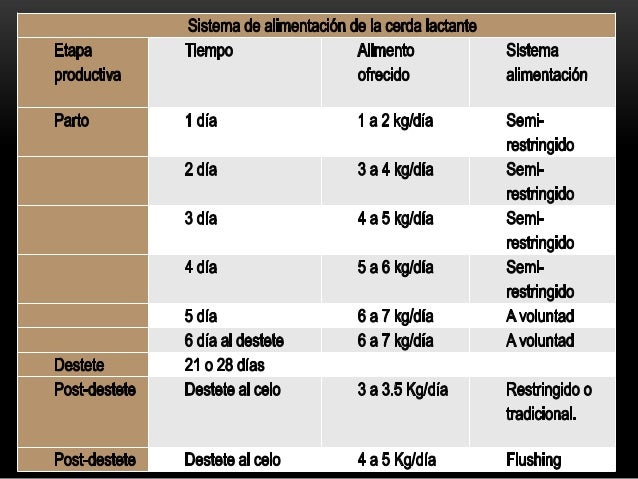 Nutricion de cerdos