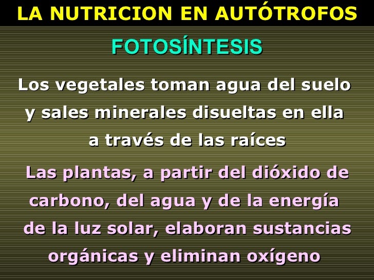 LA NUTRICION EN AUTÓTROFOS FOTOSÍNTESIS Las plantas, a partir del dióxido de carbono, del agua y de la energía  de la luz ...