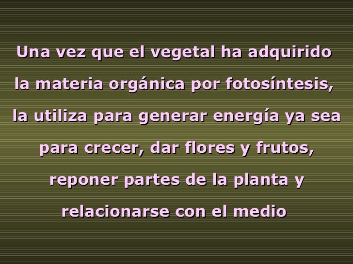 Una vez que el vegetal ha adquirido  la materia orgánica por fotosíntesis,  la utiliza para generar energía ya sea para cr...