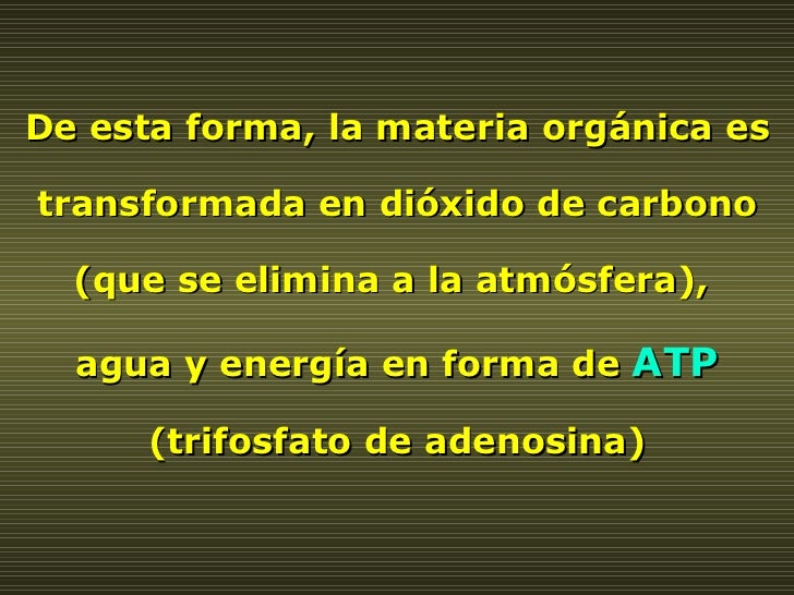 De esta forma, la materia orgánica es transformada en dióxido de carbono (que se elimina a la atmósfera),  agua y energía ...