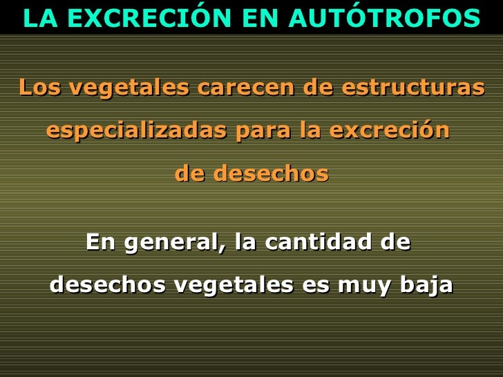Los vegetales carecen de estructuras especializadas para la excreción  de desechos En general, la cantidad de  desechos ve...