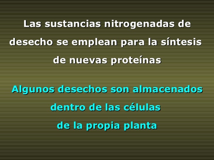 Las sustancias nitrogenadas de desecho se emplean para la síntesis  de nuevas proteínas Algunos desechos son almacenados d...
