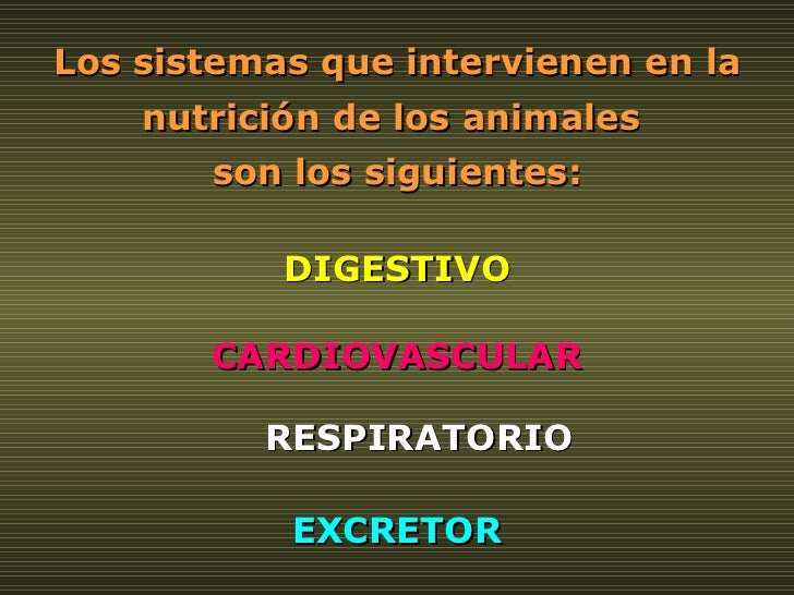 Los sistemas que intervienen en la nutrición de los animales  son los siguientes: DIGESTIVO EXCRETOR RESPIRATORIO CARDIOVA...